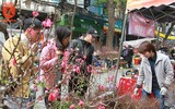 Lên ngay chợ hoa Hàng Lược để thấy Tết về